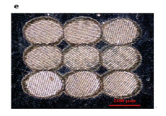 위조 방지 초미세 패턴을 확대한 모습.  미래부 제공